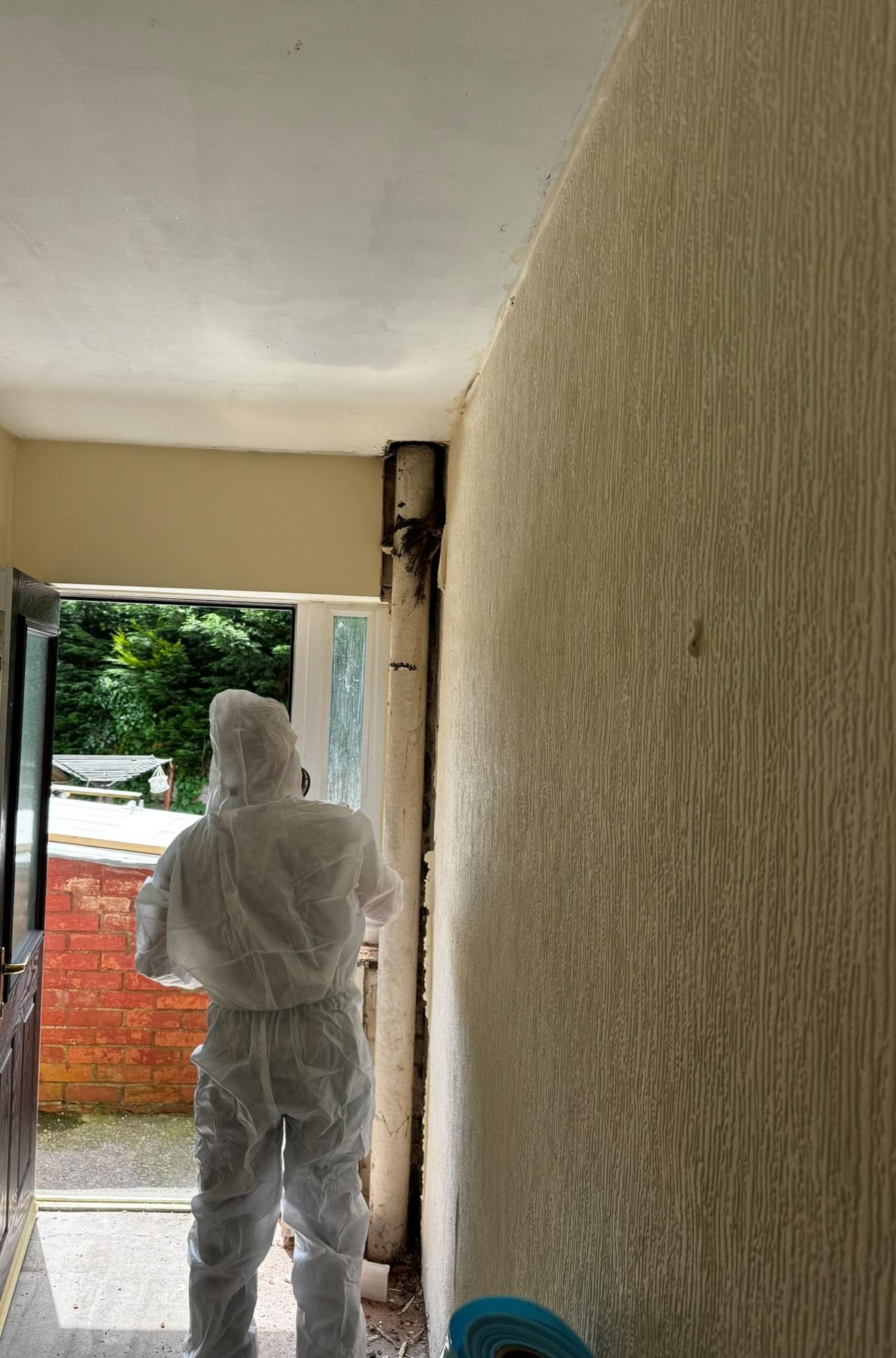 Surveyor in protective coveralls inspecting a hallway for asbestos